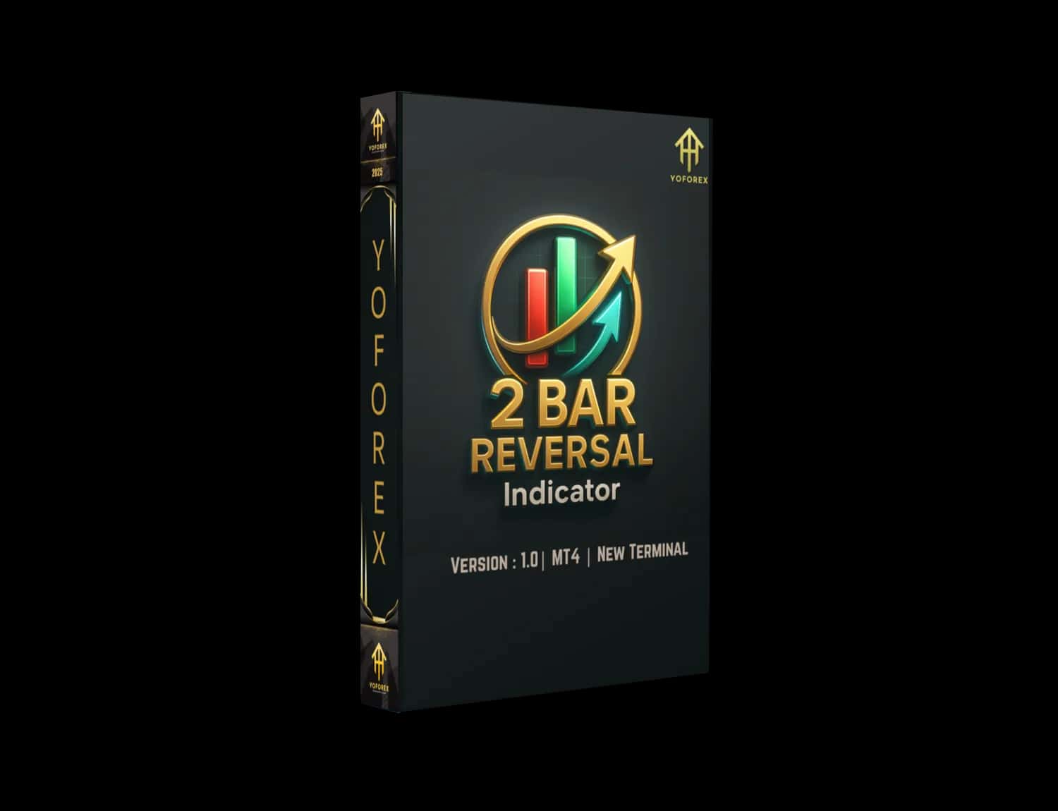 2 Bar Reversal Indicator V1.0 MT4