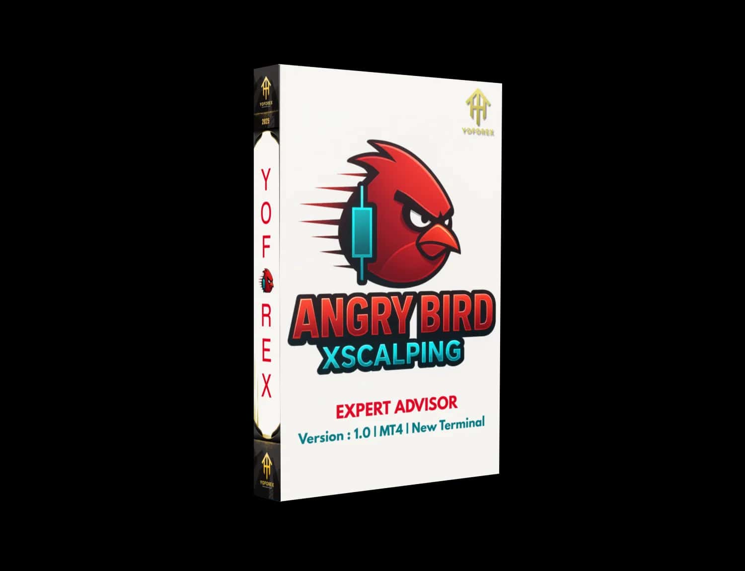 Angry Bird Xscalpingn EA V1.0 MT4