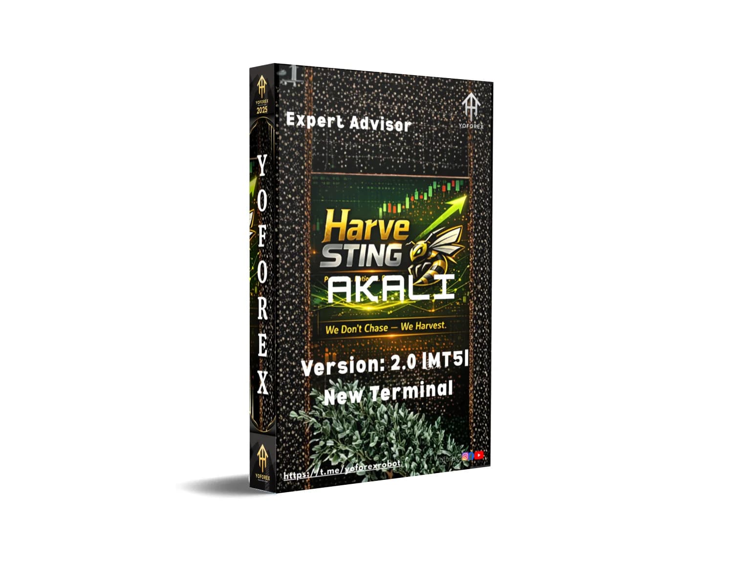 HarveSTING X MT5: The Forex Predator That's About to Sting Your Profits into Orbit!