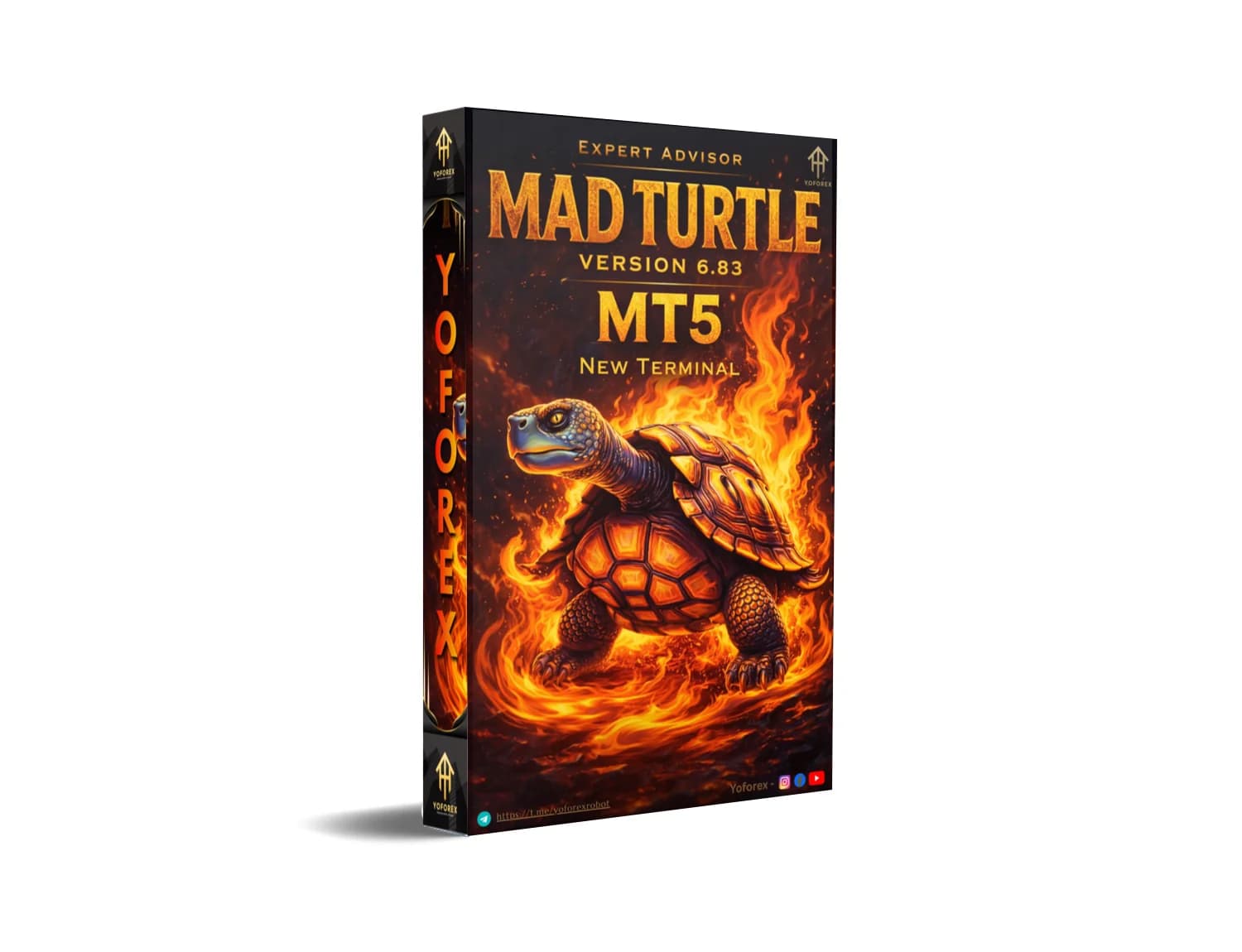 Explode Your Forex Profits: Mad Turtle MT5 Review Now!