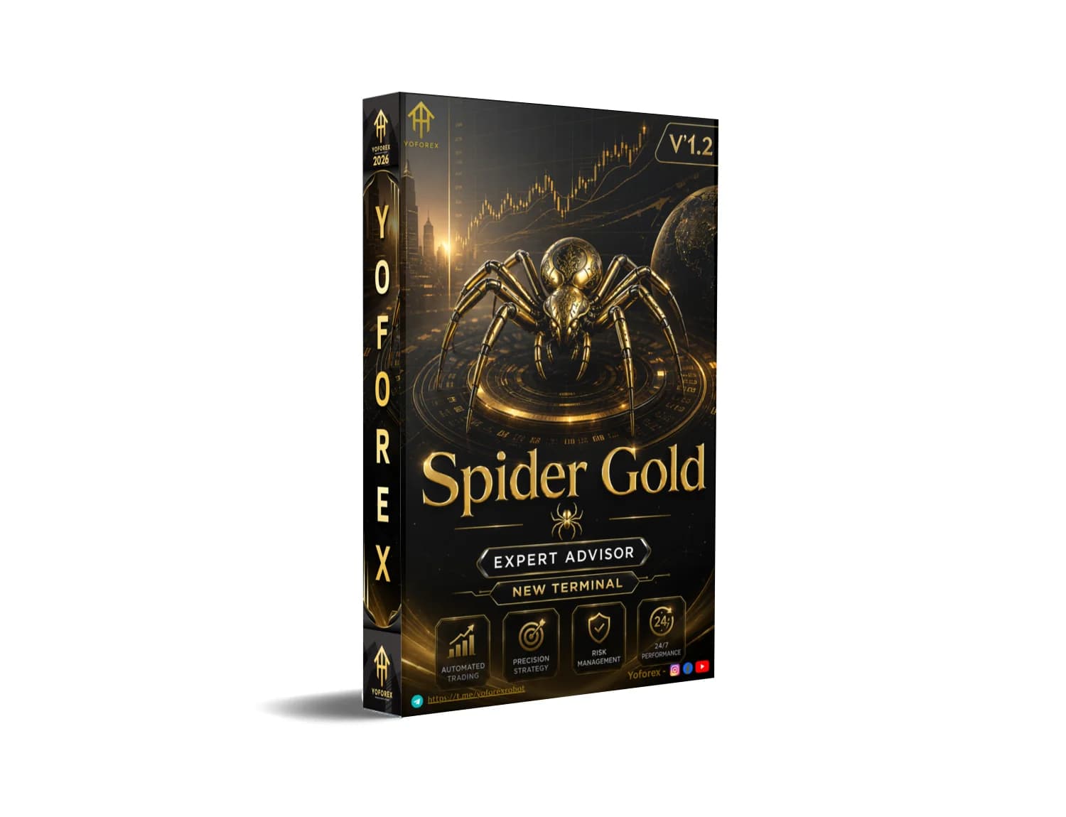 Grab Spider Gold MT5 Free Download NOW – Don't Miss Out!