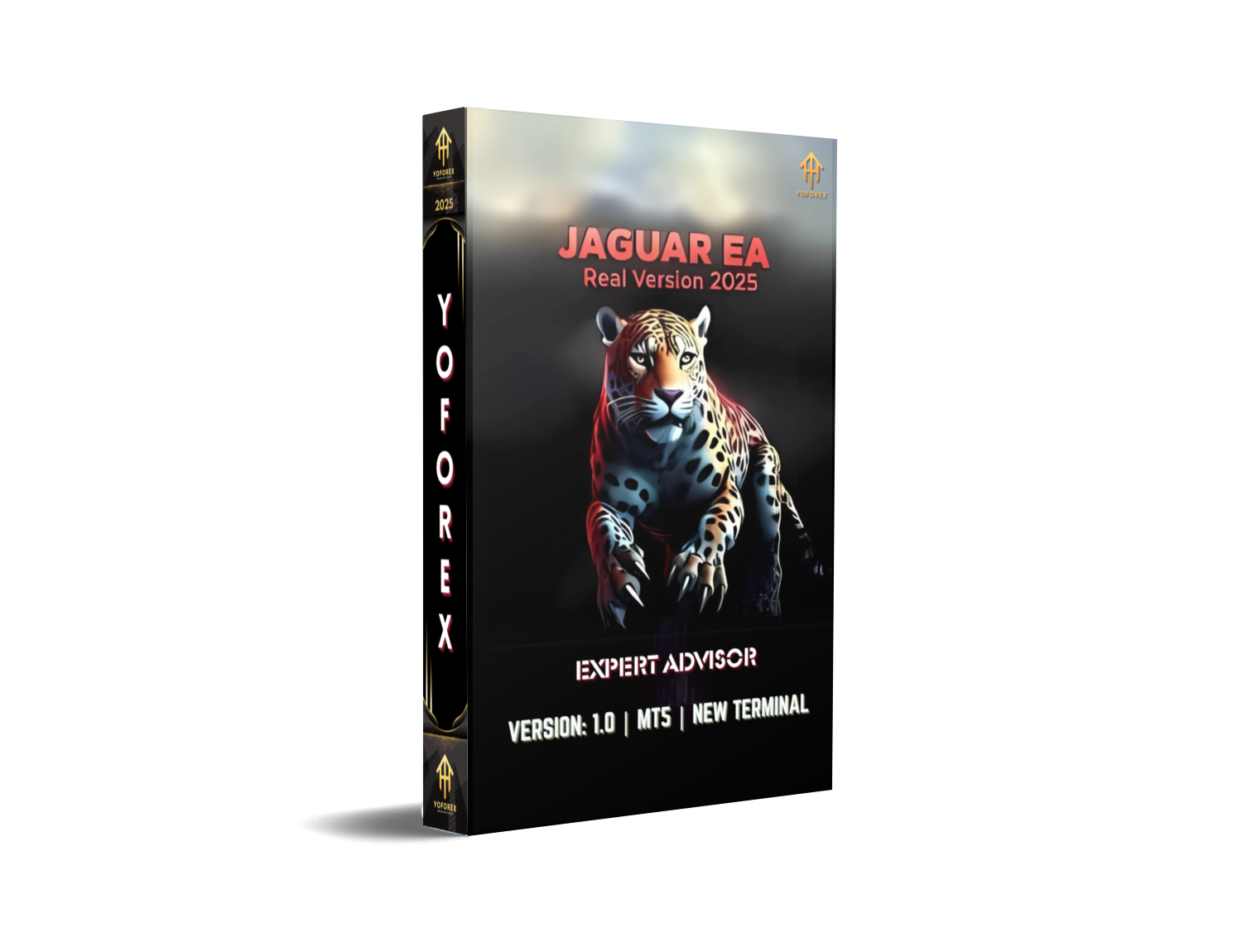 JAGUAR EA Real Version 2025 V1.0 MT5 – Free Precision Forex Bot - FREE DOWNLOAD