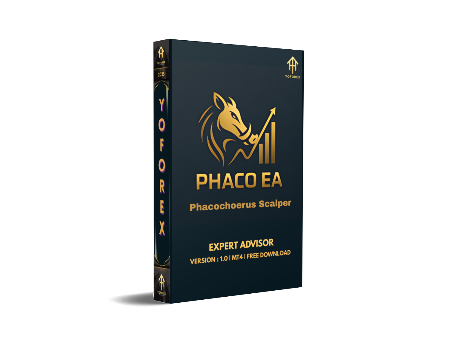 Phacochoerus Scalper EA V1.0 MT4 The Breakout Beast for Gold Traders – FREE DOWNLOAD