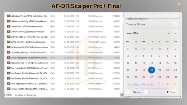 AF-DR.Scalper Pro+ Final