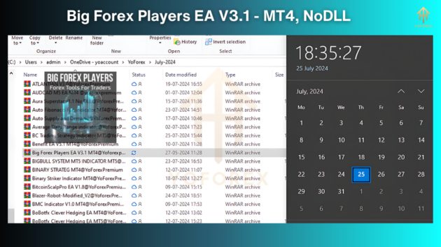 Big Forex Players EA V3.1