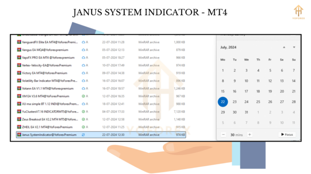 JANUS SYSTEM INDICATOR