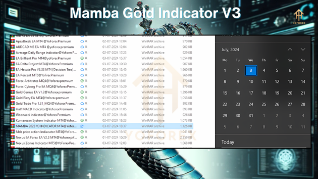 MAMBA GOLD 2023 INDICATOR V3