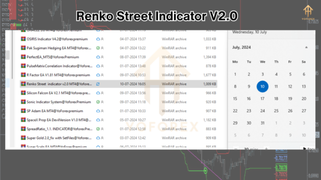 Renko Street Indicator V2.0