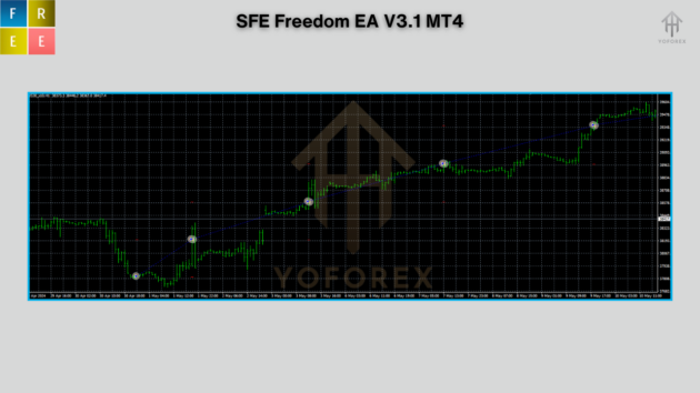 SFE Freedom EA V3.1