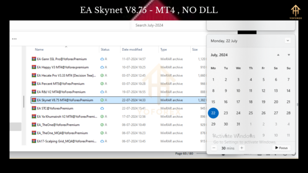 EA Skynet V8.75