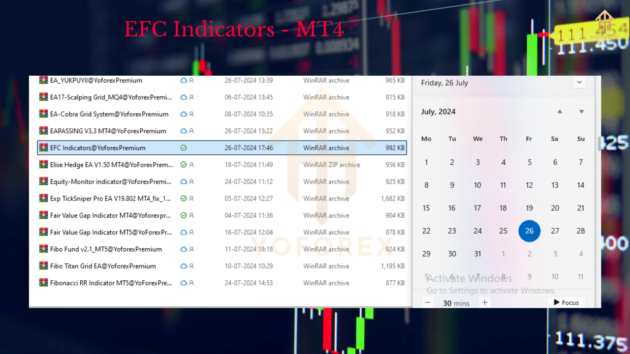 EFC Indicators