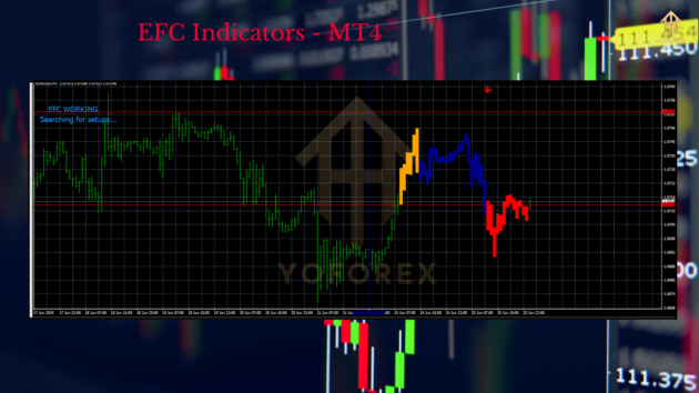 EFC Indicators