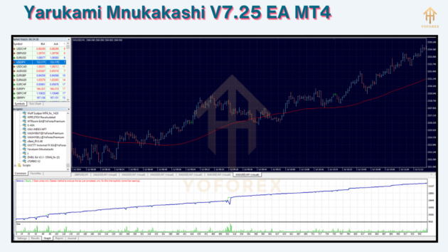 Yarukami Mnukakashi V7.25 EA