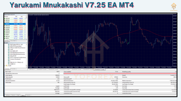 Yarukami Mnukakashi V7.25 EA