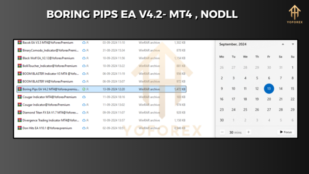 Boring Pips EA V4.2 MT4