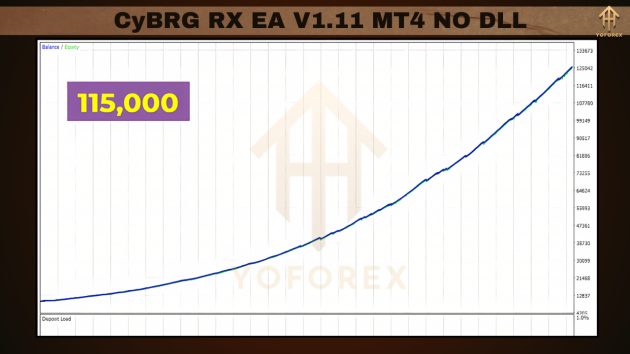 CyBRG RX EA V1.11