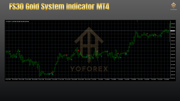 FS30 Gold System Indicator