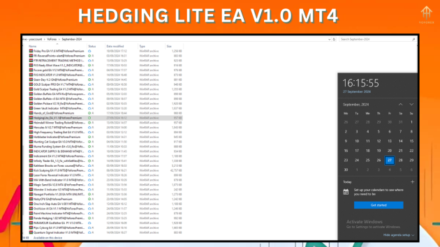 Hedging Lite EA V1.0