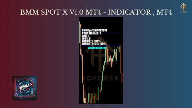 BMM Spot X Indicator