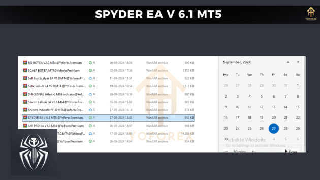 SPYDER EA V6.1