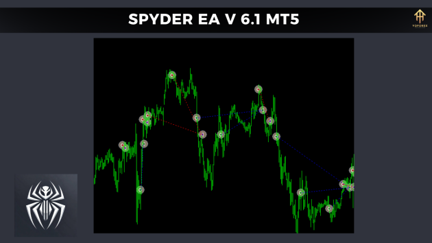 SPYDER EA V6.1