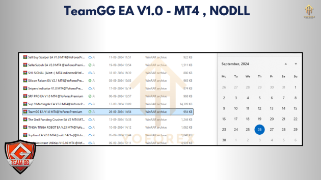 TeamGG EA V1.0