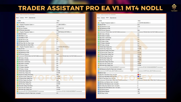 Trader Assistant Pro EA V1.1