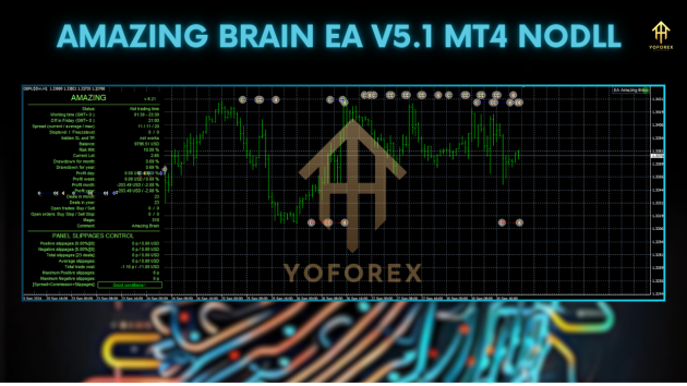 Amazing Brain EA