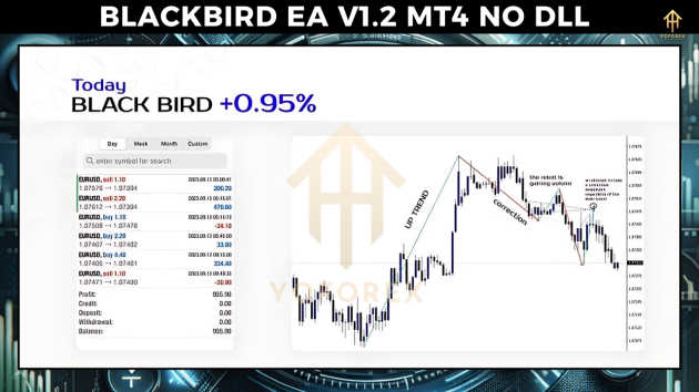 BLACKBIRD EA V1.2