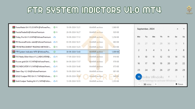 FTR System Indicator V1.0