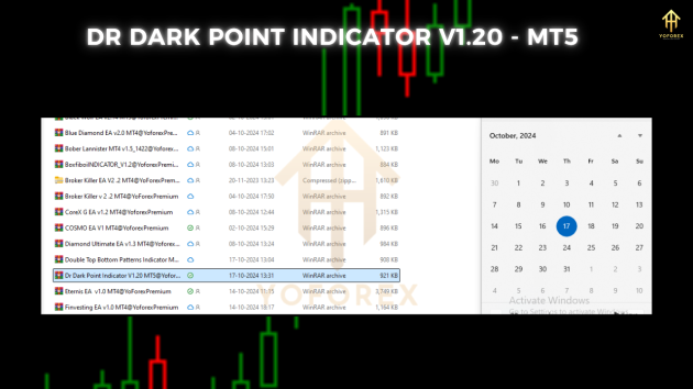 Dr Dark Point Indicator V1.20 MT5