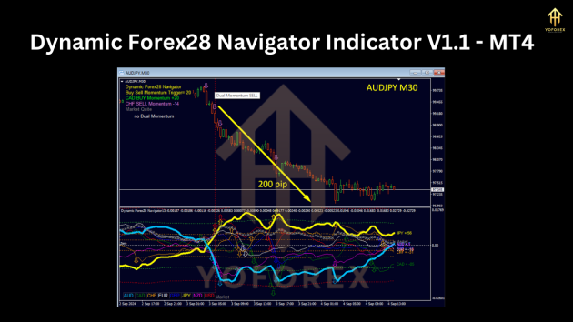 Dynamic Forex28 Navigator Indicator V1.1 MT4