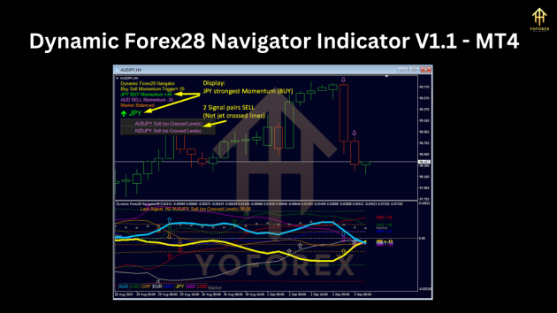 Dynamic Forex28 Navigator Indicator V1.1 MT4