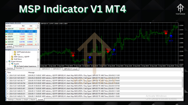 MSP Indicator V1