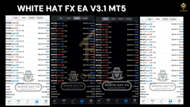 White Hat FX EA V3.1