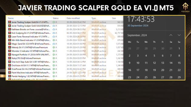 Javier Trading Scalper Gold EA V1.1