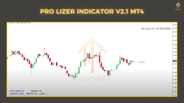 Pro Lizer Indicator v2.1