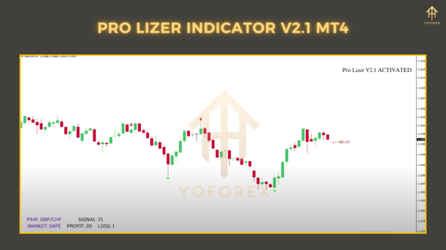 Pro Lizer Indicator v2.1