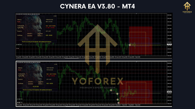 CyNera EA V3.80