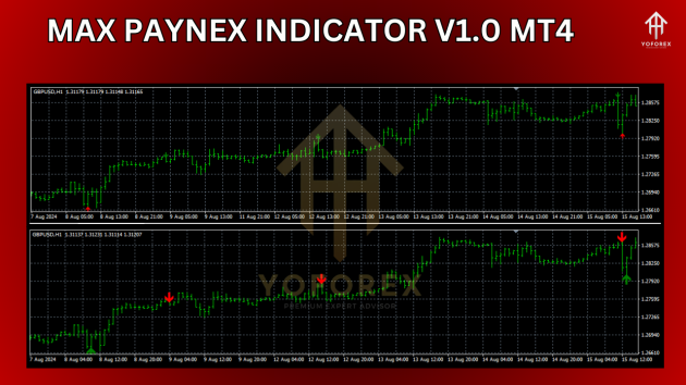 Max Paynex Indicator V1.0