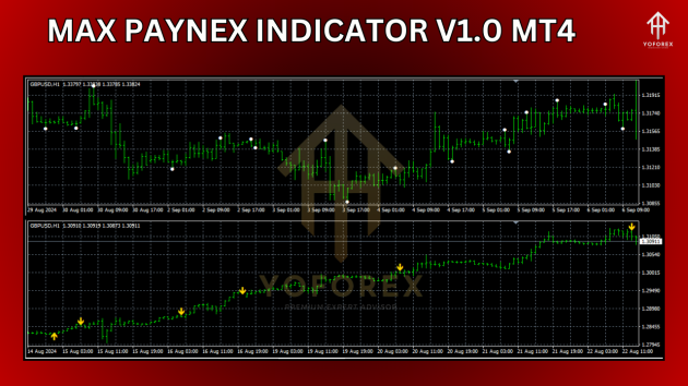 Max Paynex Indicator V1.0