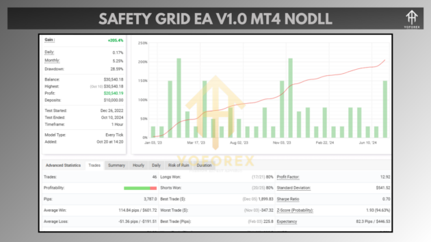 Safety Grid EA V1.0