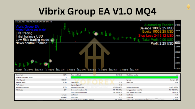 Vibrix Group EA V1.0 MQ4