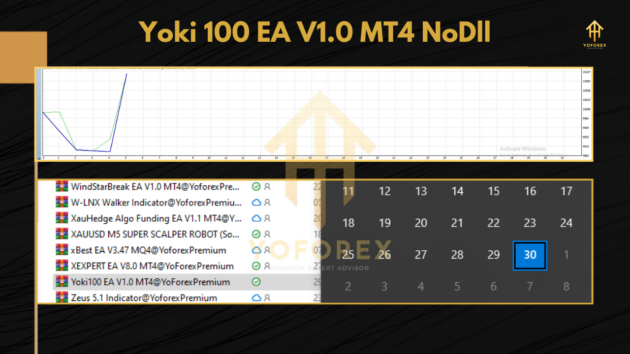 Yoki100 EA V1.0