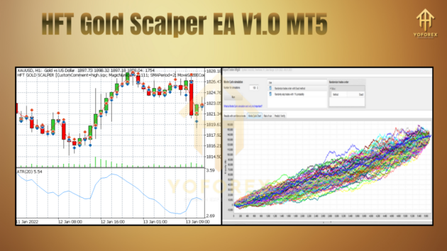 HFT Gold Scalper EA V1.0 MT5