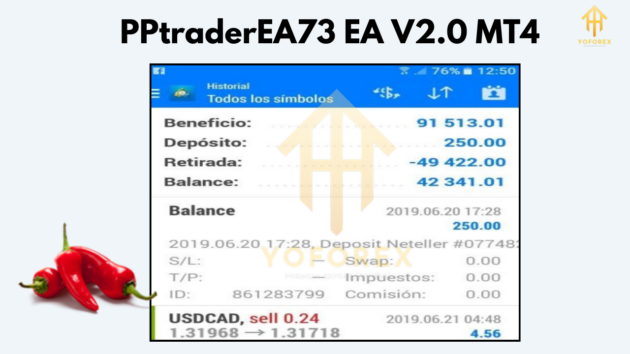 PPtraderEA73 EA