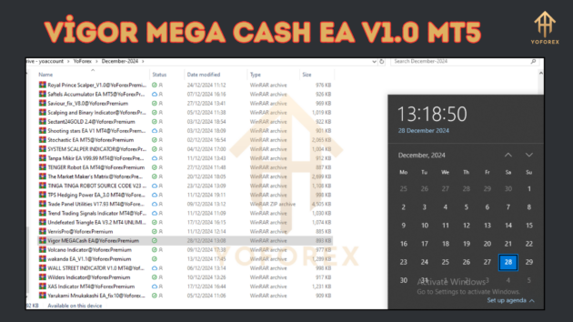 Vigor MEGA Cash EA V1.0