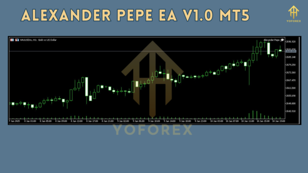 Alexander Pepe EA V1.0