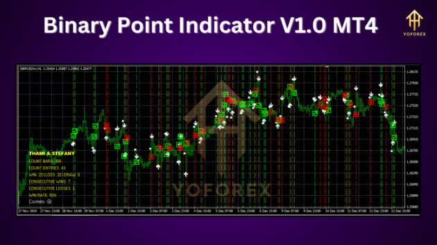 Binary Point Indicator V1.0