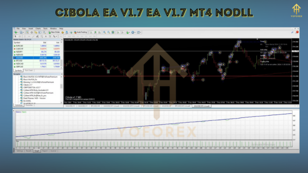 Cibola EA V1.7